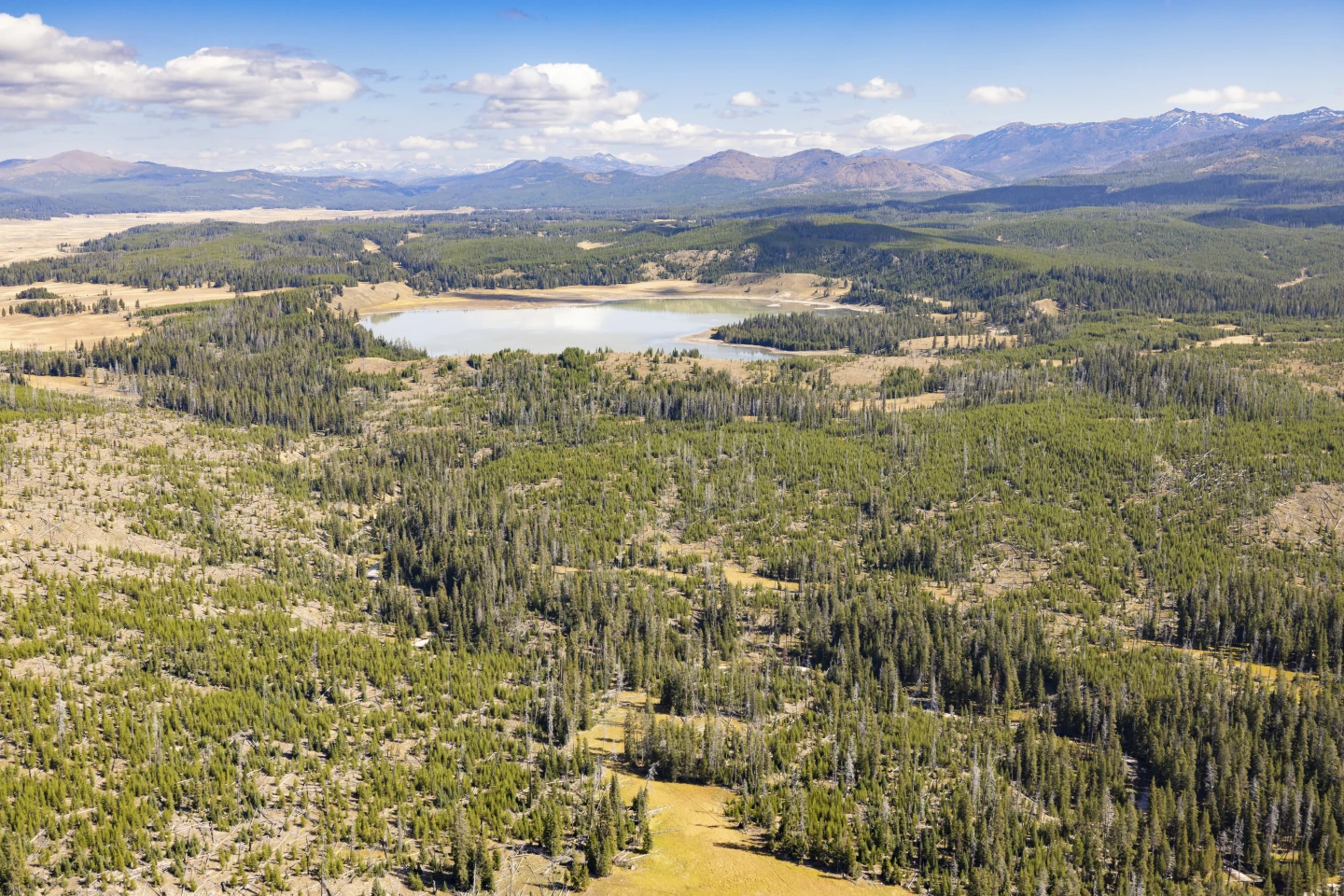 Former Park Superintendents Urge Closure of National Parks in Anticipation of Government Shutdown