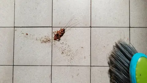 Cockroach-Chasing Mishap: Woman Accidentally Sets Apartment Ablaze in South Korea