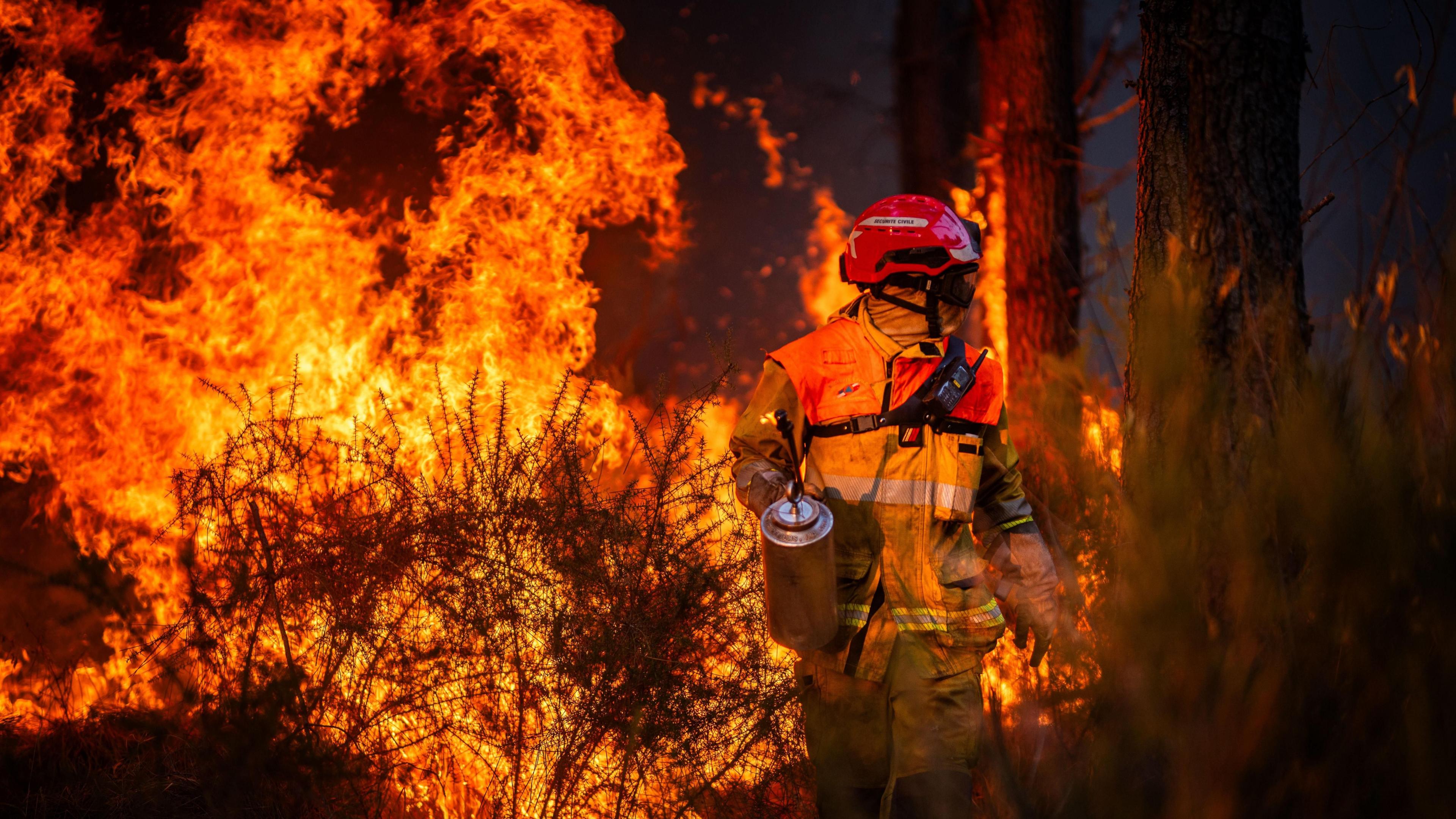 Hundreds Arrested as France Battles Record Wildfires: Who’s to Blame?