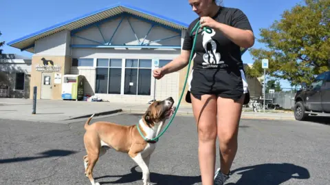 FBI Drug Disposal Incident Hospitalizes Animal Shelter Staff in Montana
