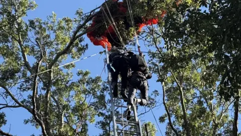 Tragic Skydiving Accident in Nashville Claims Life of Instructor