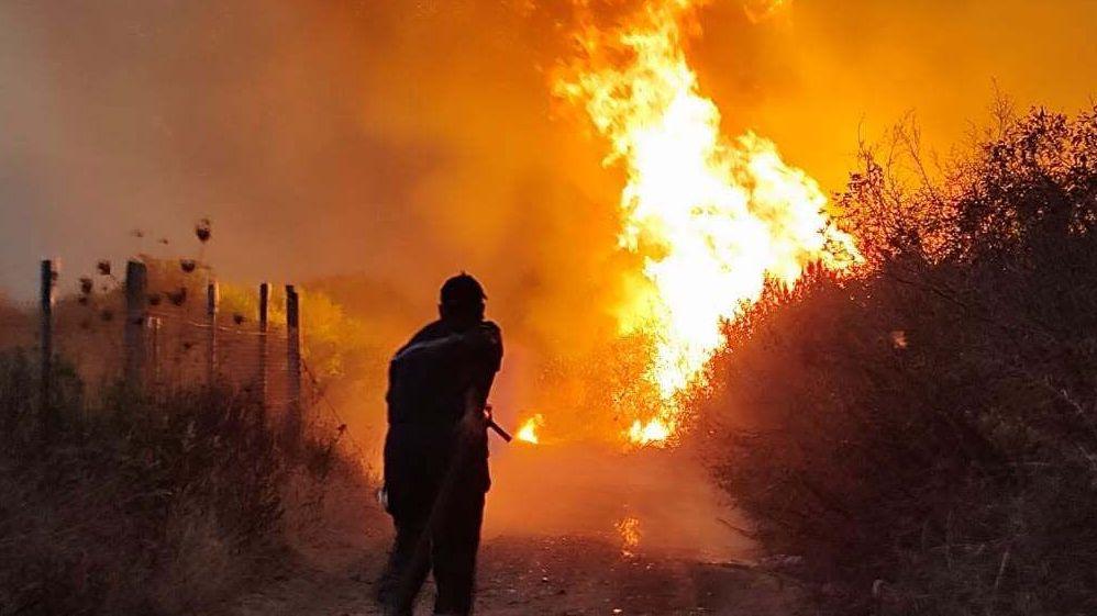 Algerian President Calls for Death Penalty as Wildfires Kill 12