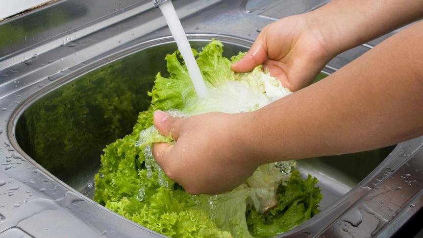 US Suffers First Deaths in Explosive Diarrhoea Cyclospora Outbreak