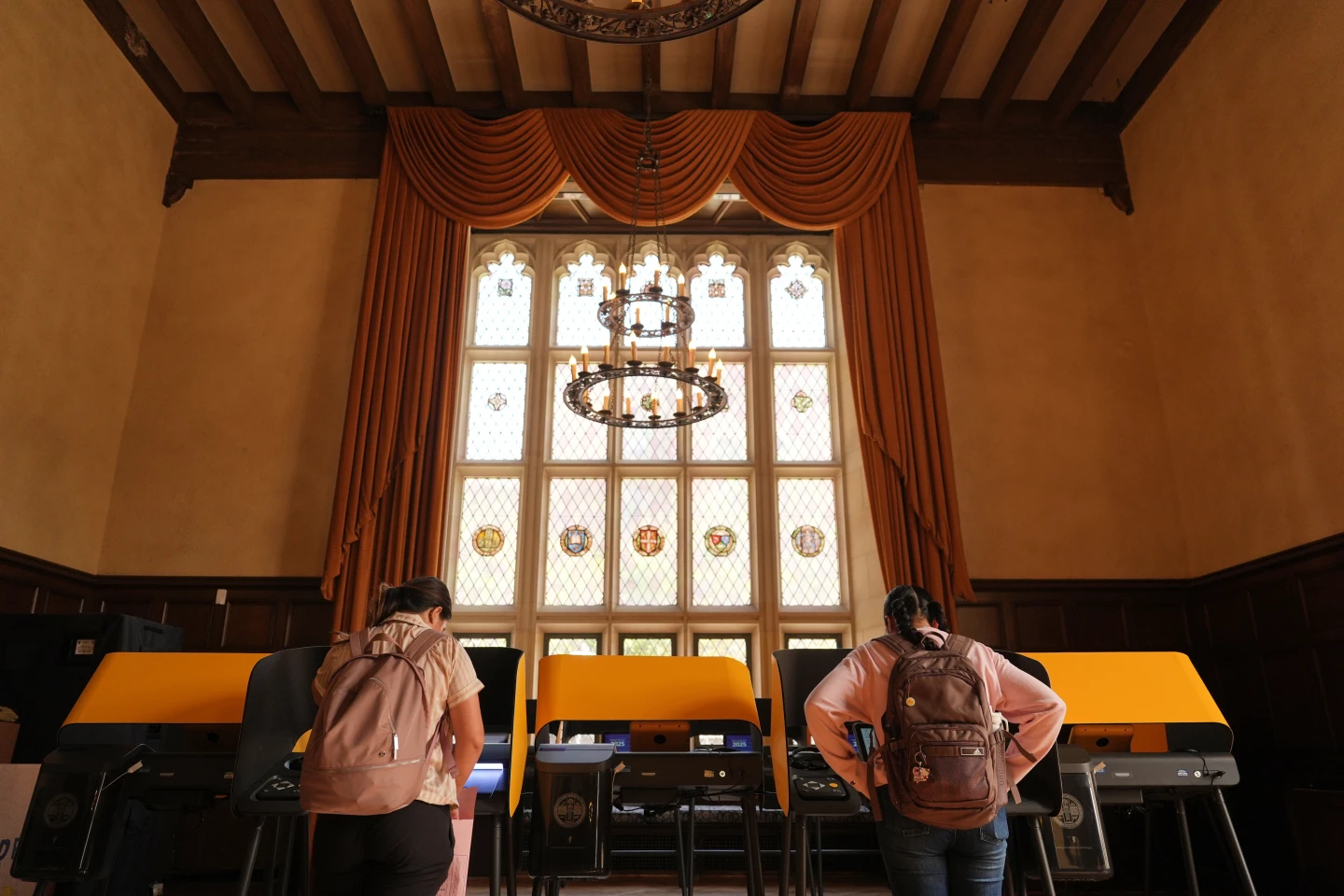 Fact-Checking Elon Musk's Claims on Voter ID Laws