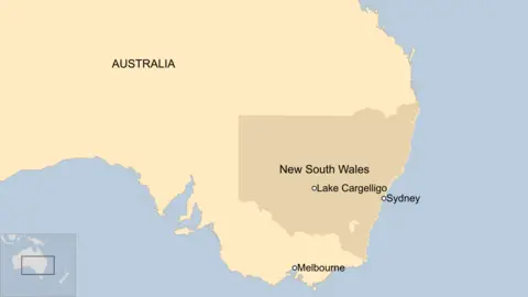 Tragedy Strikes New South Wales: Three Dead in Suspected Domestic Shooting