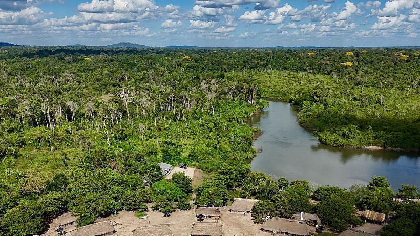 Amazon Shrinks: Brazil Reports Sharp Drop in 2025 Fire Zones