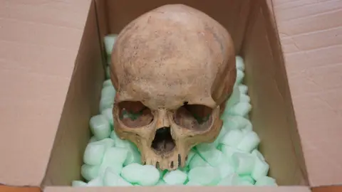 A Skull Returns: A Six-Decade Journey from Theft to Redemption