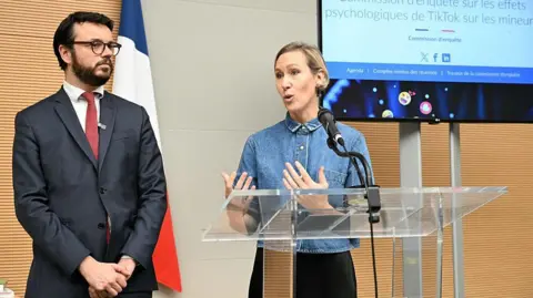 French Report Advocates Ban on Social Media for Children Under 15 Amid TikTok Concerns
