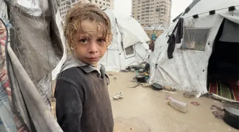 Urgent Plea for Shelter as Gaza Faces Deadly Winter Rains