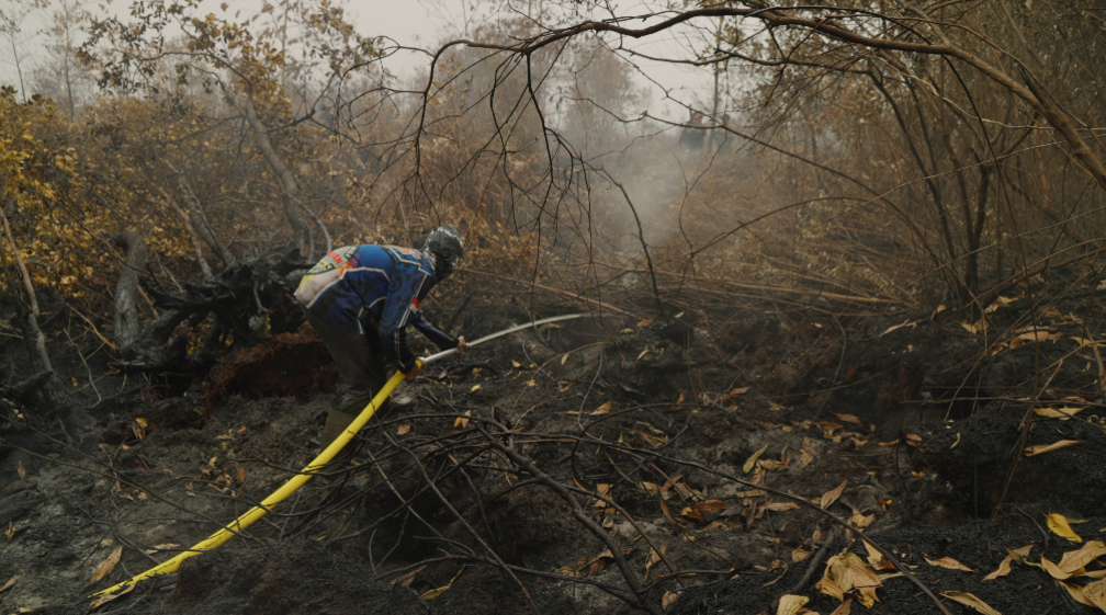 Borneo Burns – Families on the Frontline of Asia's Toxic Haze