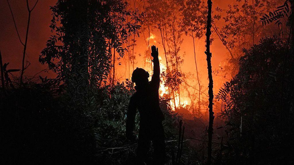 Toxic Smog Chokes Southeast Asia: Who’s Blamed for Indonesia’s Wildfire Crisis?