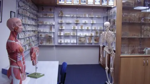 Tasmanian Government Issues Apology Over Historical Body Parts Scandal