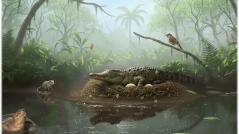 Ancient 'Drop Crocs': Evidence of Tree-Climbing Crocodiles Uncovered in Australia