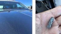 During the 250th birthday celebration of the US Marine Corps in California, shrapnel from an artillery shell struck vehicles in Vice President JD Vance's protective detail, raising safety concerns.