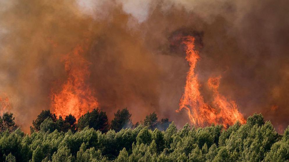 France Suffers 2,000‑Plus Excess Deaths Amid Record‑Breaking Heatwave