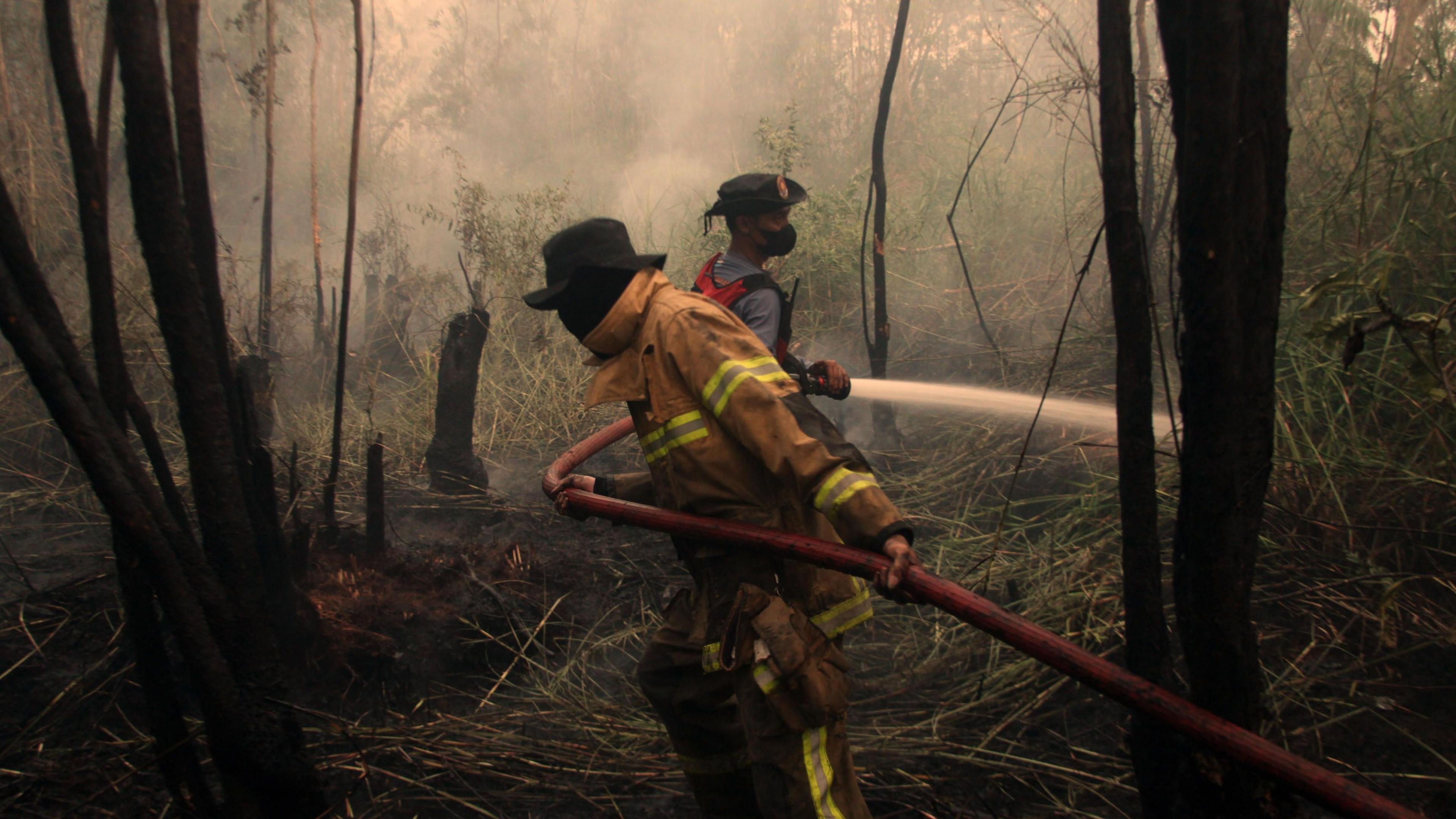 El Niño 2026 Sets New Record Amid Rising Global Storms