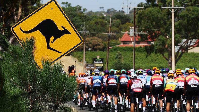 Kangaroo Crash Can't Stop Jay Vine from Winning Tour Down Under