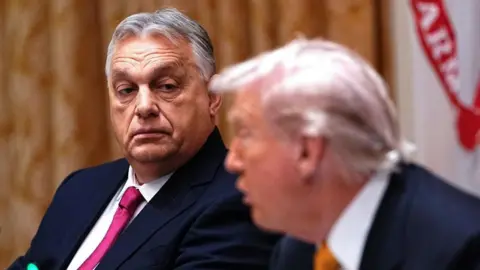 Analyzing Orban's Diplomatic Gains and Challenges in His Meeting with Trump