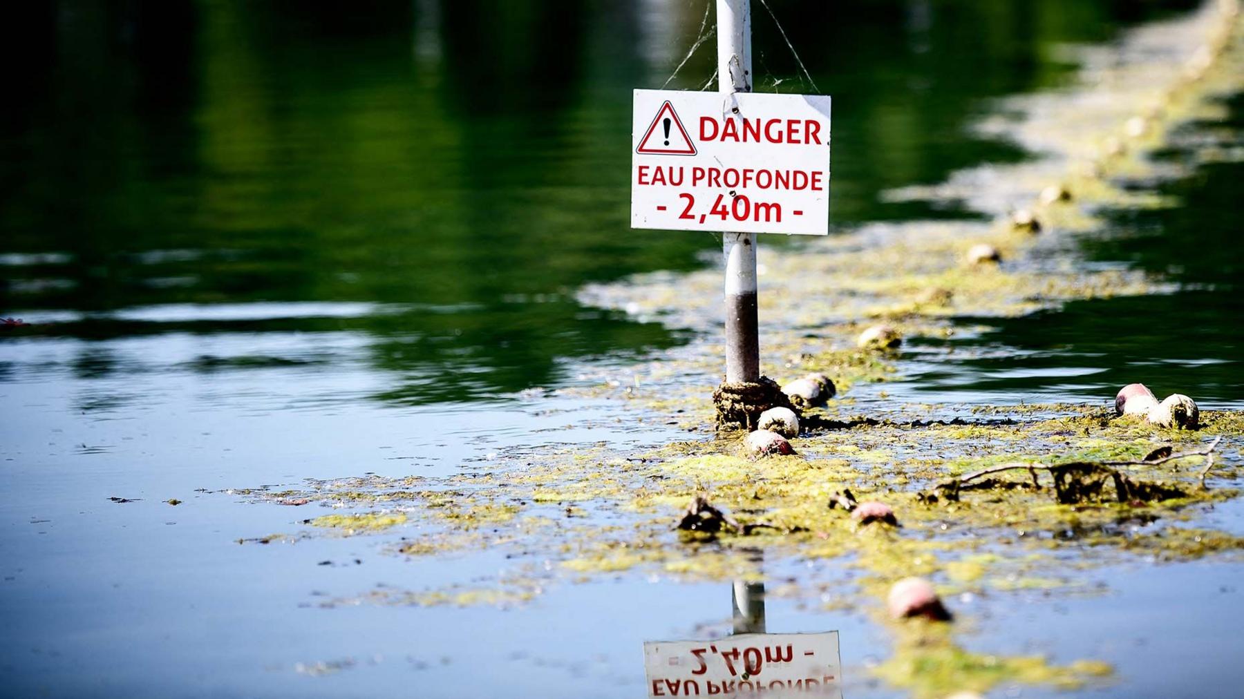 Heatwave‑Mired Europe: Rising Temperatures and Record Drowning Toll in France