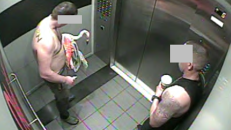 Canadian Tourist Sentenced After Stealing Flamingo from Las Vegas Hotel