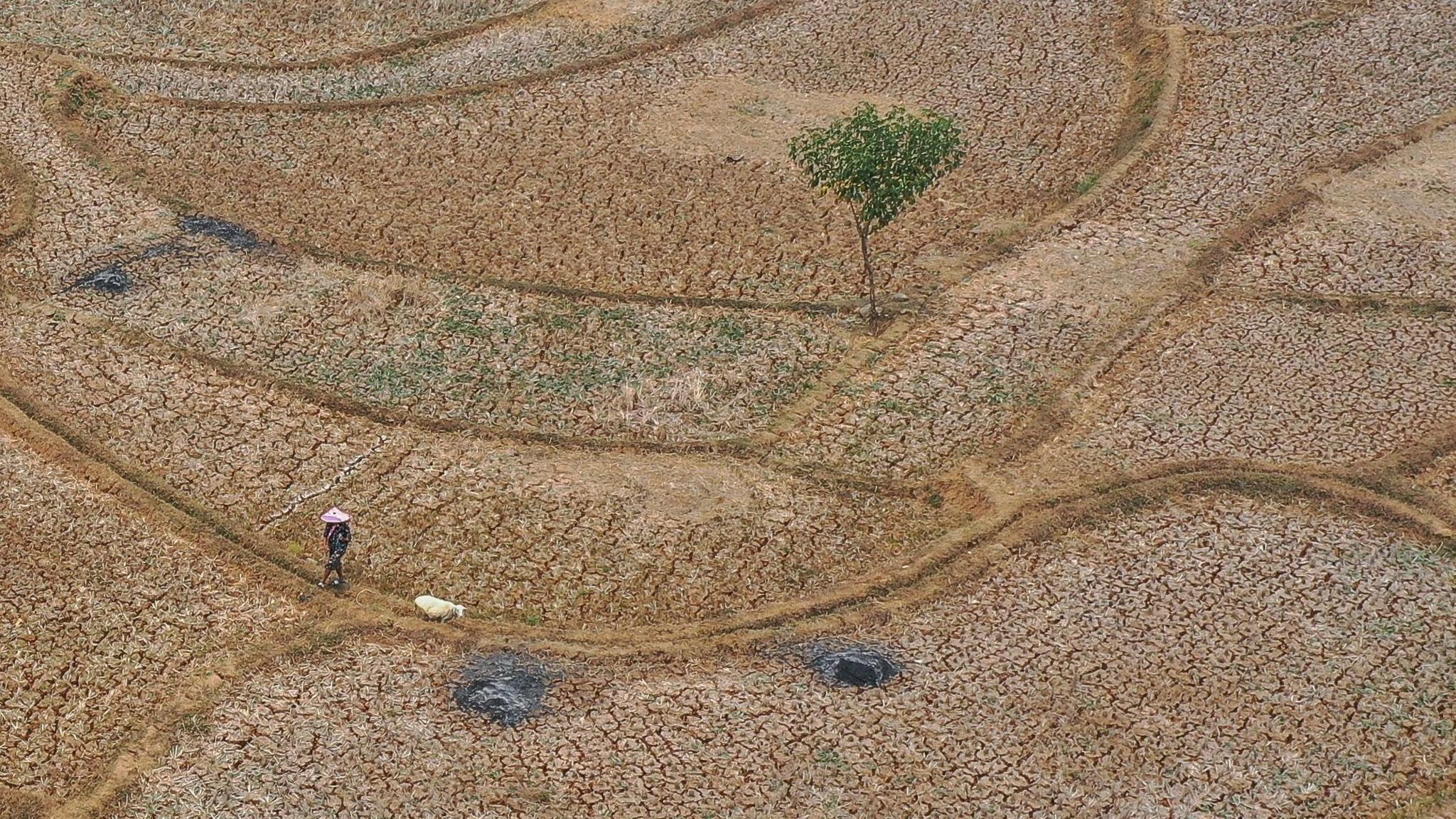 El Niño’s Global Grip: From Indonesian Wildfires to U.S. Hurricanes