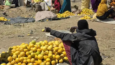 Fertile Land, Rotten Crops: The Struggle in Sudan's Jebel Marra