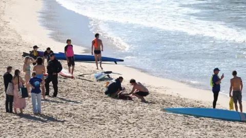 Sydney Beach Shark Attack Leaves 35‑Year‑Old Woman Seriously Injured