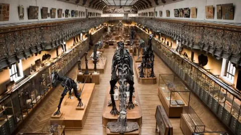 Museum Heist: Woman Arrested for Stealing €1.5 Million in Gold from Paris Museum