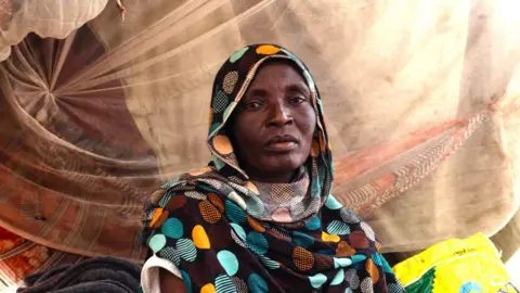 UN Commits to Investigating Mass Killings in Sudan's El-Fasher